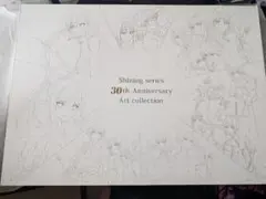 샤이닝 시리즈 30번째 아트 컬렉션 Ver.2 R. Vivant