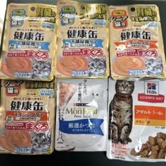 Item thumbnail for item 1582b6f4-03f6-405e-8eff-0ae250375193