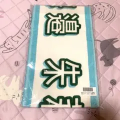 乃木坂46 海邉朱莉　個別マフラータオル　真夏の全国ツアー2025