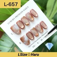 【L-657】上品水光マグネット×ニュアンス♡ネイルチップ［LSize］