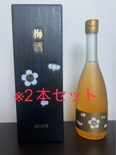 黒龍酒造　ESHIKOTO 梅酒 720ml 2本セット