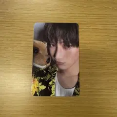 ENHYPEN DESIRE:UNLEASH YOU ver. ソヌ トレカ