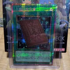 大輪の霊使い+大輪の魔導書　プリシクセット THE CHRONICLES DECK 精霊術の使い手 商品検索 | ドラゴンスター | 遊戯王