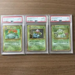 經典 妙蛙種 妙蛙草 妙蛙花 PSA10連號三張套組