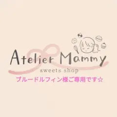 ブルードルフィン様ご専用です☆
