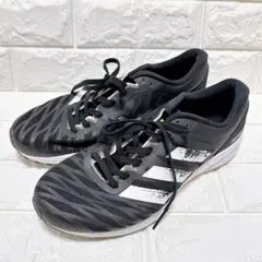 Item thumbnail for item 4f5f2ec6-3001-466c-a549-974186e32c8a