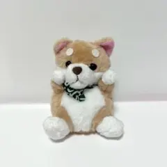 しばっころ ぬいぐるみ 柴犬 テイクオフ
