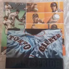 読売ジャイアンツ　A4クリアファイル　3枚セット　巨人軍