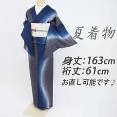 長尺□夏着物『紋紗』小紋□ゆるやかライン□大小の丸地紋◇正絹着物 