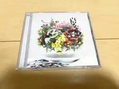 Mrs. GREEN APPLE / 5