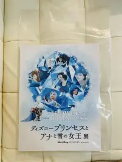 アナと雪の女王展 パンフレット