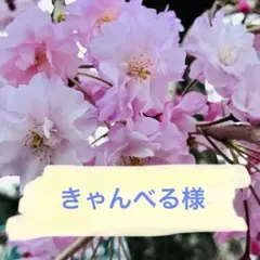 きゃんべる様リクエスト
