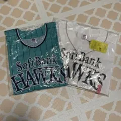 Item thumbnail for item b256178d-64be-45b6-a423-ebb0f56c327f