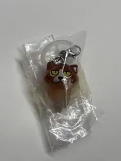 おさわり探偵 なめこ栽培キット めじるしアクセサリー2 ねこなめこ