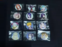 ⑪Fate/GrandOrder 霊基召喚缶バッジ Fes.2024〜2025