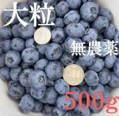 【限定価格残り２個】千葉県産の無農薬の生ブルーベリー 500gのサムネイル