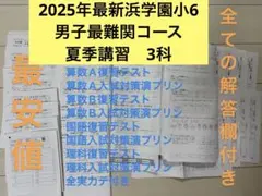 2026年最新】浜学園 復習テスト解答の人気アイテム - メルカリ