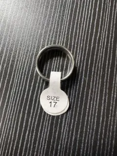 Item thumbnail for item a80ff9f9-d468-4861-929c-8f06cf6020ce