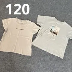 120 Tシャツ2枚セット