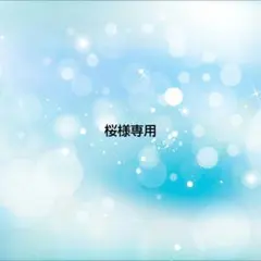 桜様 リクエスト 4点 まとめ商品