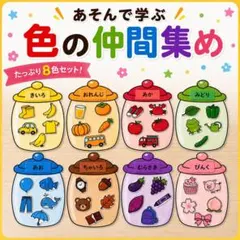 色マッチング 分類 自立課題 療育教材 療育 保育教材 知育教材 発達支援 保育のサムネイル
