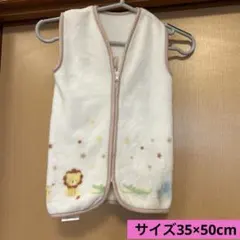 Item thumbnail for item 9ac4b309-d606-4803-b8b8-1214a6dd6ca3