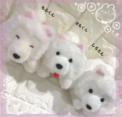 サモエド キャラクターグッズ