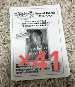 中島由貴 ゆきいろ2 キャンペーン 応募用紙 41枚