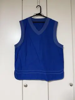 ジレベスト