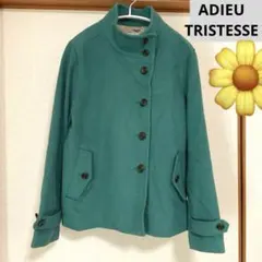 アドュートリステス