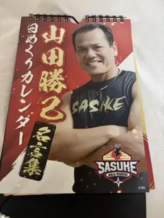 Item thumbnail for item 155a4234-419f-4ca8-8063-9cd4a054f6b1