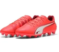 Item thumbnail for item ba027a1f-76cb-4950-92bb-5db553cb71d3