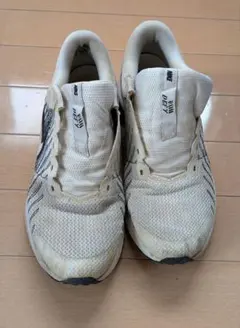 ナイキ　スニーカー　25.0cm