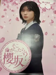 2026年最新】櫻坂 ポスター b2の人気アイテム - メルカリ