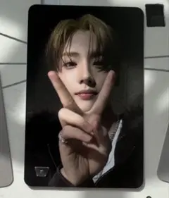 ALD1 サンウォン EUPHORIA starriver 限定 トレカ B