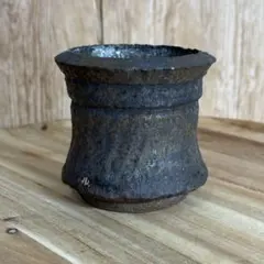 Calvero、Wild Heaven、田中元将 陶器植木鉢 セット出品 - メルカリ