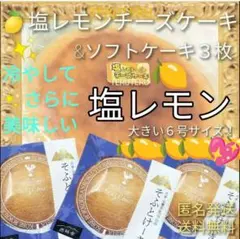 ⑤塩レモン チーズケーキ ６号１個 そふとけーき３枚 アウトレット 大阪前田製菓のサムネイル