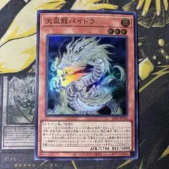 2026年最新】天盃龍の人気アイテム - メルカリ