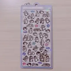 ボンボンドロップシール　ペンギンズ　水族館