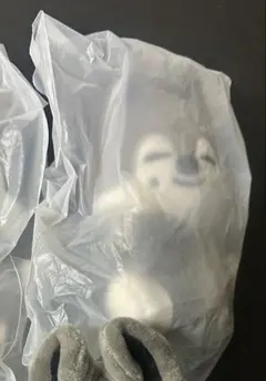 stray kids SKZOO ストラップPLUSH ウルフチャン　バンチャン