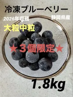 ★限定3箱★冷凍ブルーベリー　1.8kg 大粒中粒　今シーズンのサムネイル