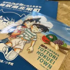 名探偵コナン 北栄町観光案内所 限定 缶バッジ 灰原哀 毛利蘭 鈴木園子 38個 名探偵コナン 北栄町観光案内所 限定 缶バッジ 灰原哀 毛利蘭