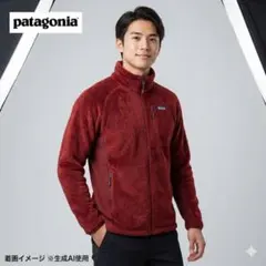 patagonia R2 ジャケット ポーラテック フリース 25139FA19