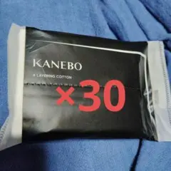 Item thumbnail for item 34ba0541-b493-42a9-a31e-5500a197136c