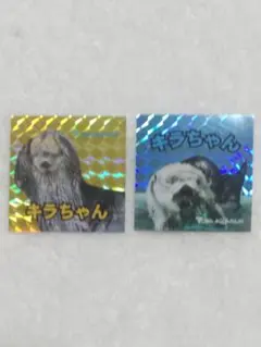 鳥羽水族館 ラッコ キラちゃん シール 2枚セット