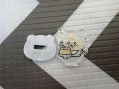 ラッコ
