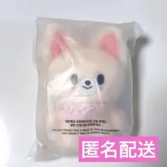 新品未開封 SKZOO アイエン フォクシニー 5’CLOCK 10cm ぬいのサムネイル
