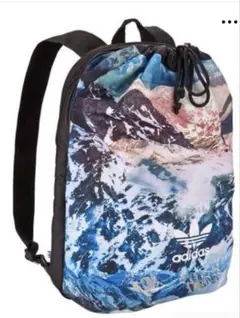 希少品　adidas originals マウンテン クラッシュ　リュック