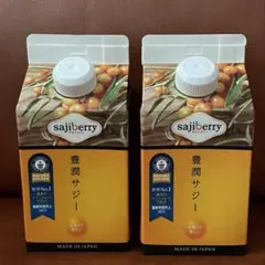 フィネス 豊潤サジー 300ml 2本セット - メルカリ
