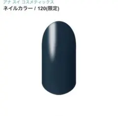 ANNA SUI ネイルカラー 120 限定